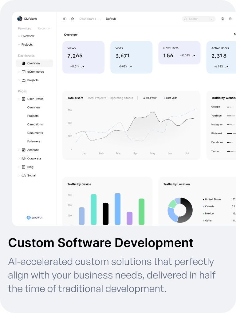 Custom Software Development dashboard preview
